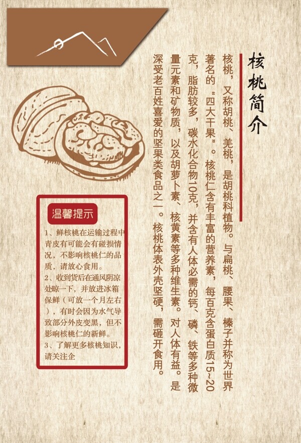 核桃簡(jiǎn)介