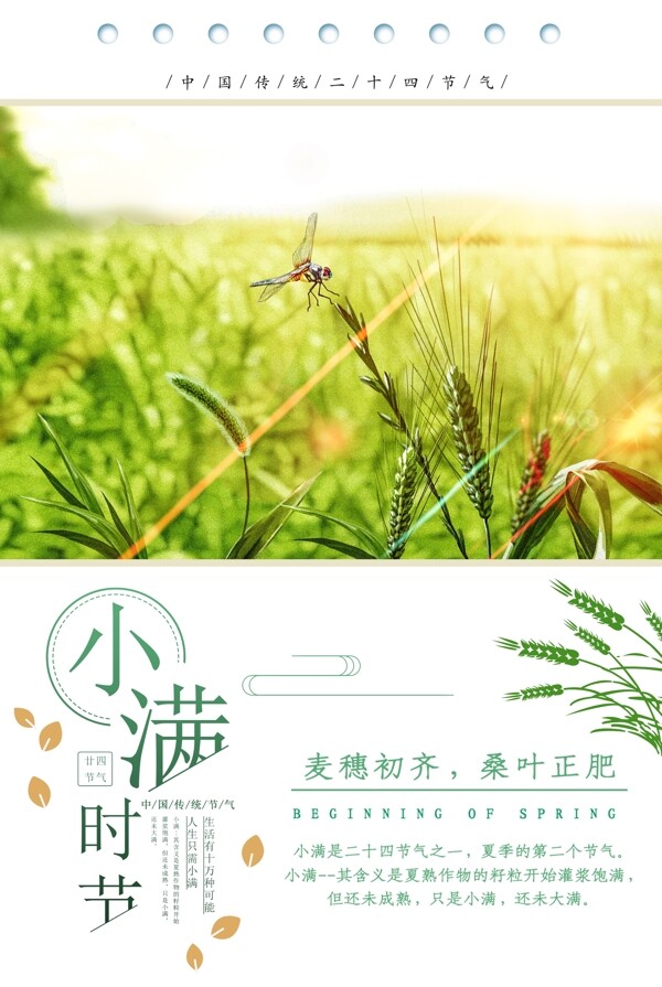 小滿