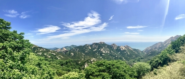 山林
