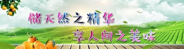水果店燈片