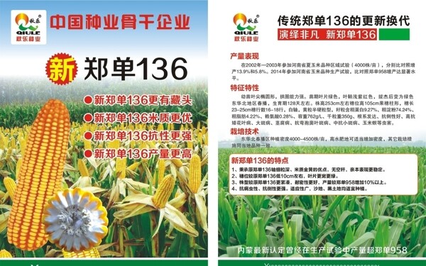 種子傳單圖片
