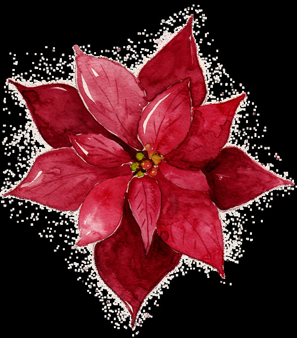 红色花卉免抠图素材