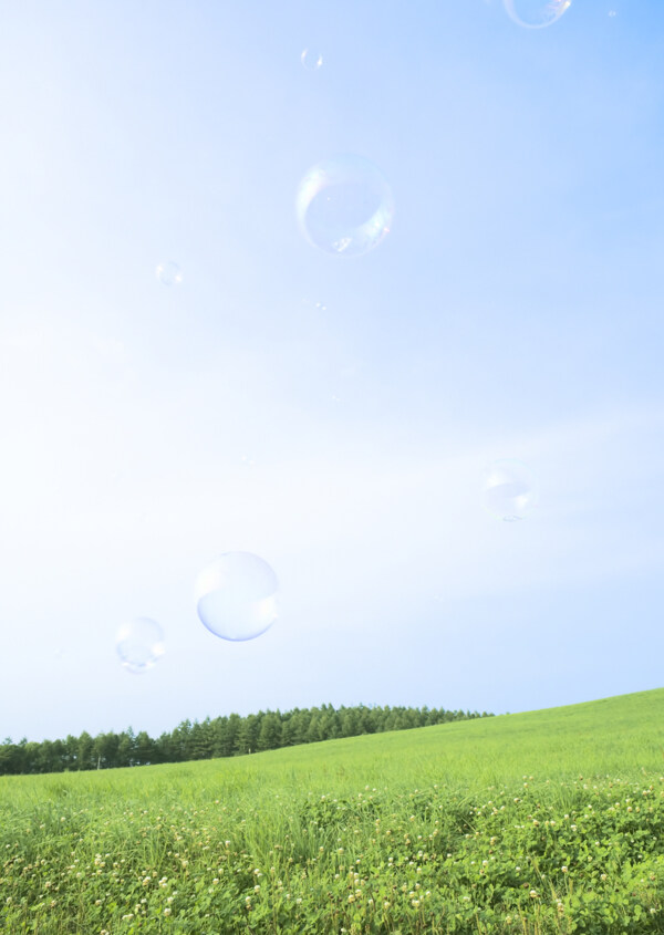 草地藍天