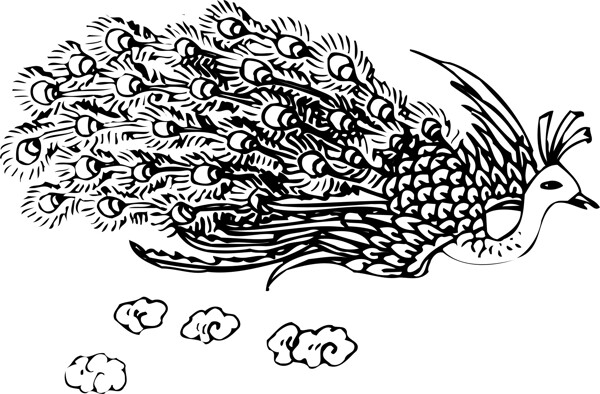 印花矢量圖動(dòng)物鳥(niǎo)類(lèi)色彩黑色免費(fèi)素材