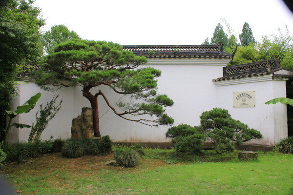 松园月亮门中式庭院景观松树