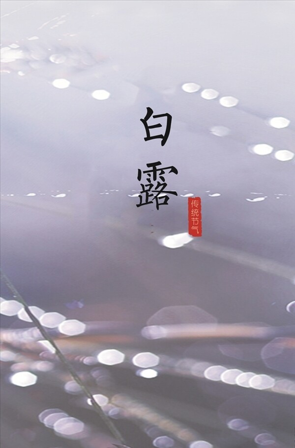 二十四節(jié)氣白露