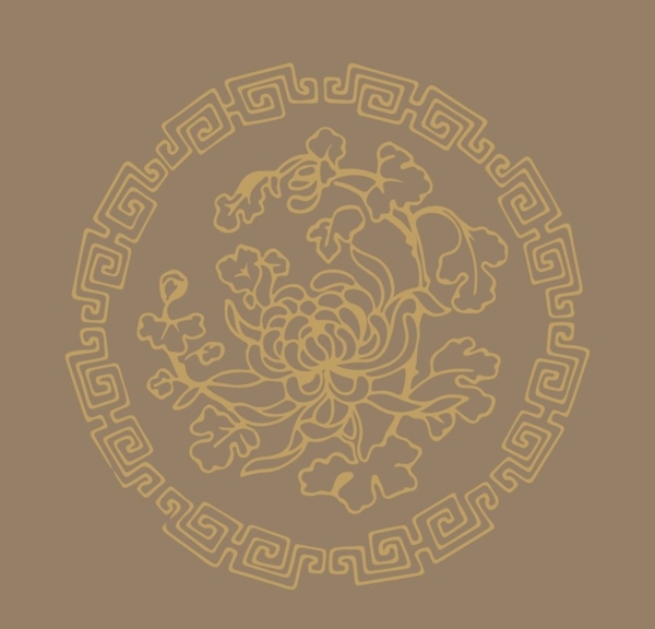 菊花矢量插畫(huà)圖