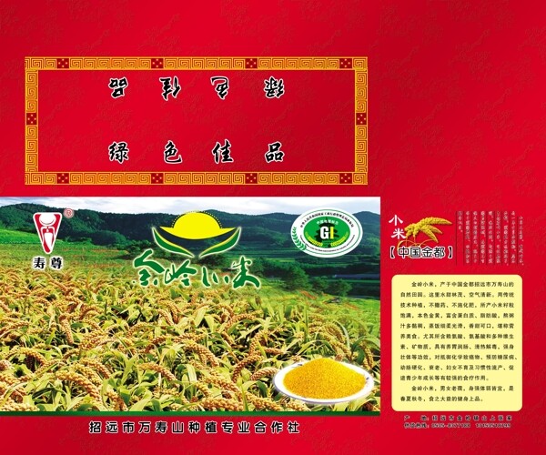 金嶺小米圖片