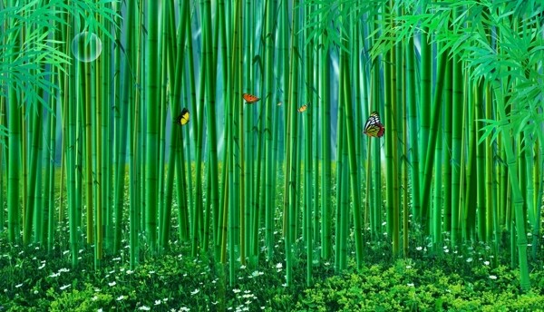 竹林圖片