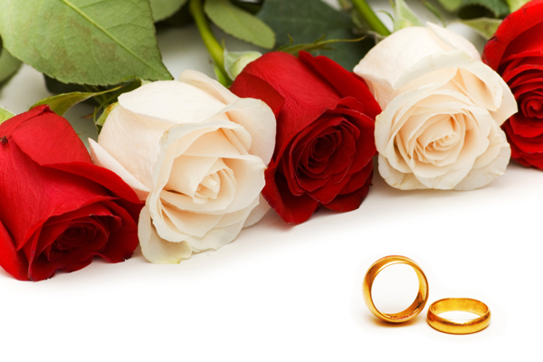 金戒指和玫瑰花图片