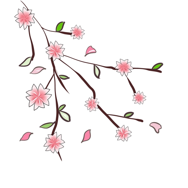 漂亮的樱花花簇插画
