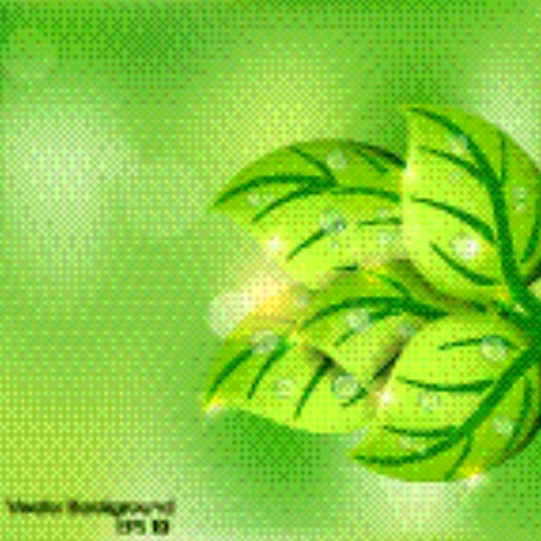 清新綠葉