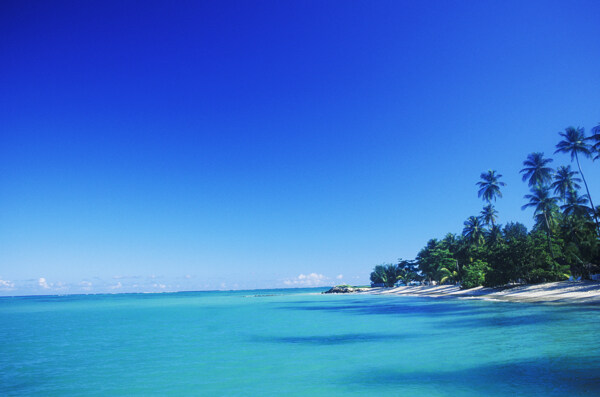 漂亮的蓝色加勒比海岸图片