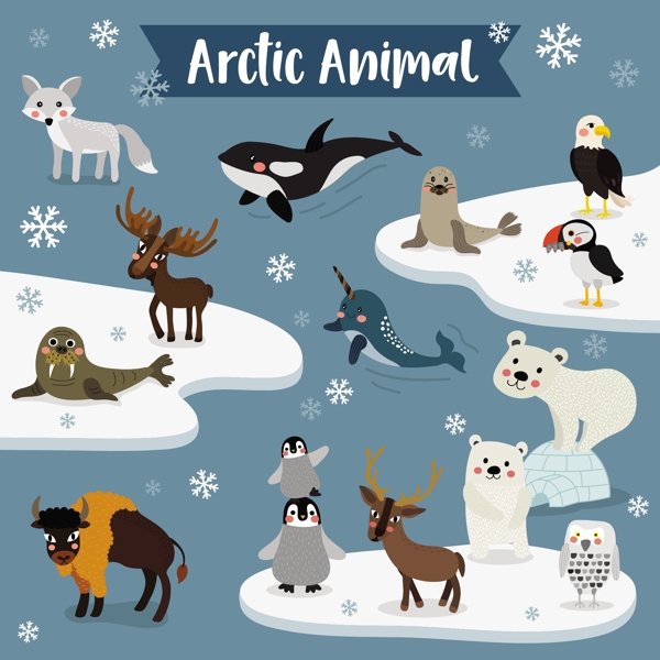 北极的动物卡通形象矢量素材