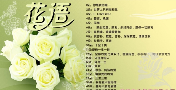 玫瑰花語圖片