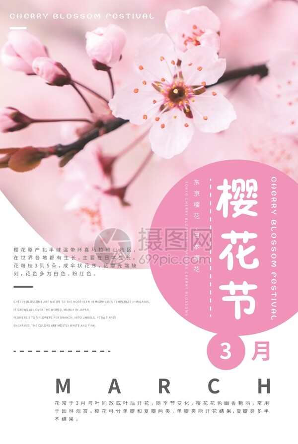 粉色简约现代樱花节海报