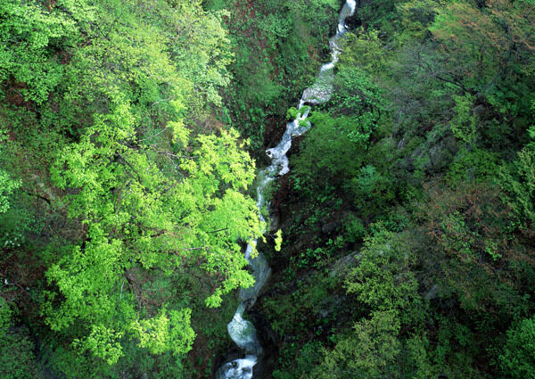 高山流水