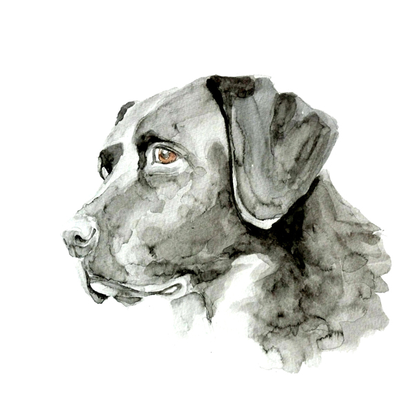 位圖插畫時尚插畫動物插畫藝術(shù)效果免費素材