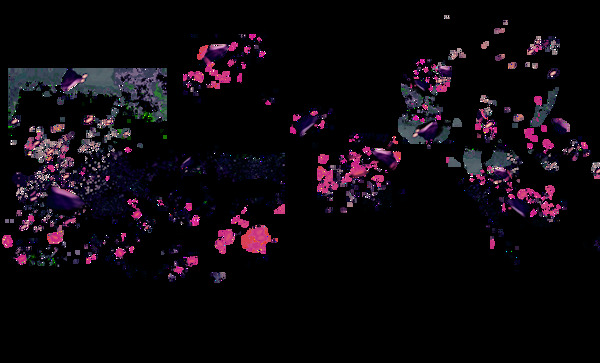 彩色礼花漂浮图PNG元素