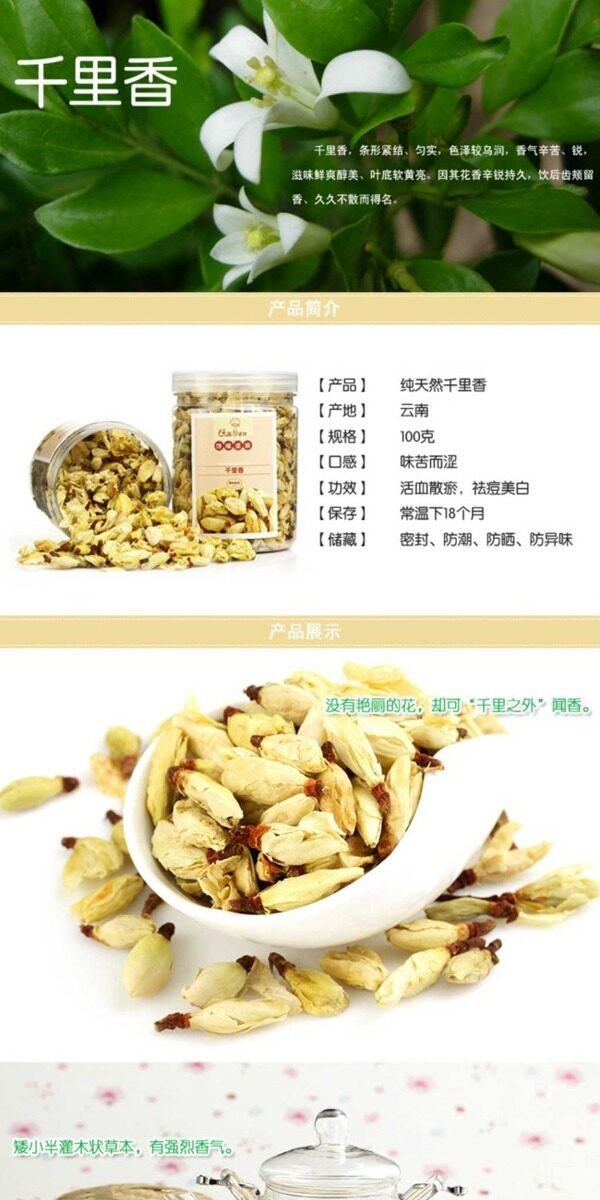 茶葉詳情頁