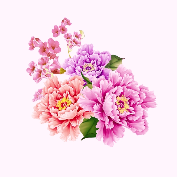 位圖psd植物花朵免費(fèi)素材