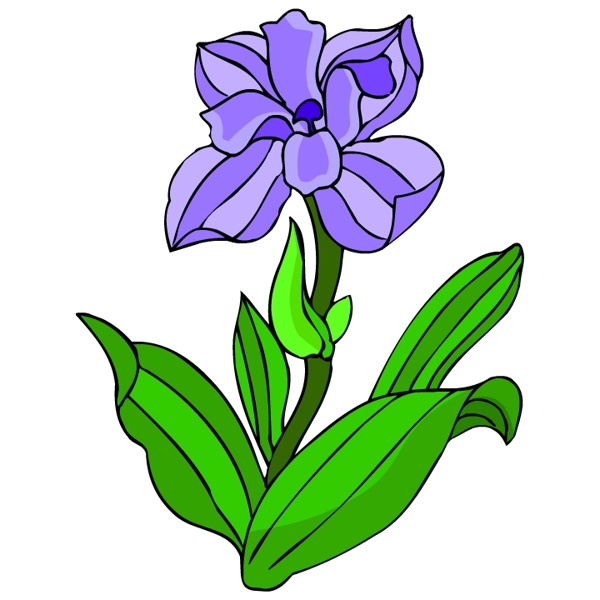 花卉古典插畫