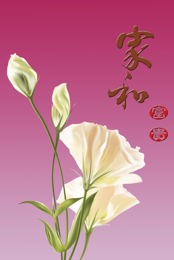 簡(jiǎn)約家和富貴