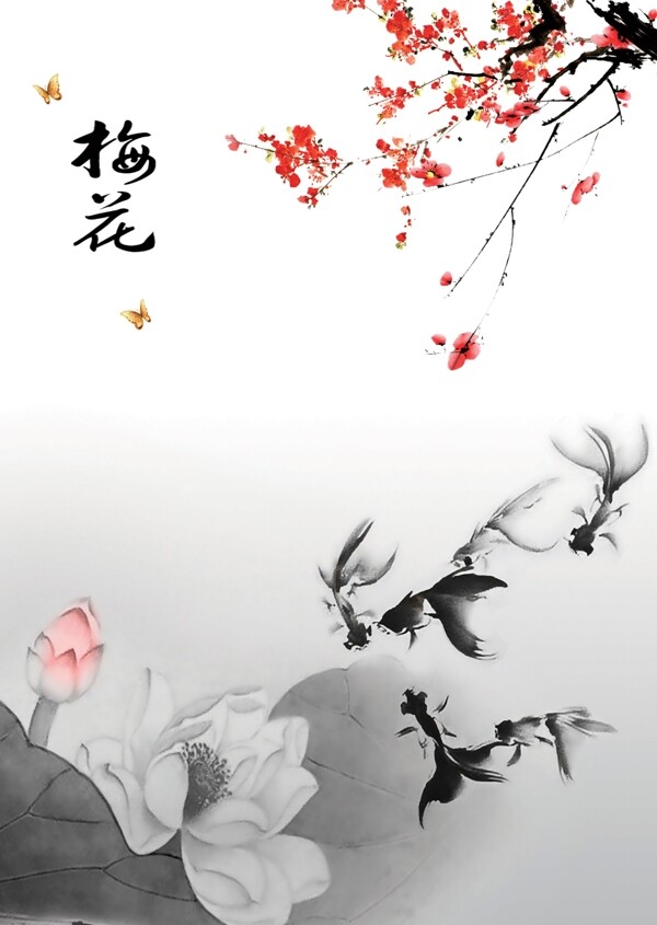 梅花圖片