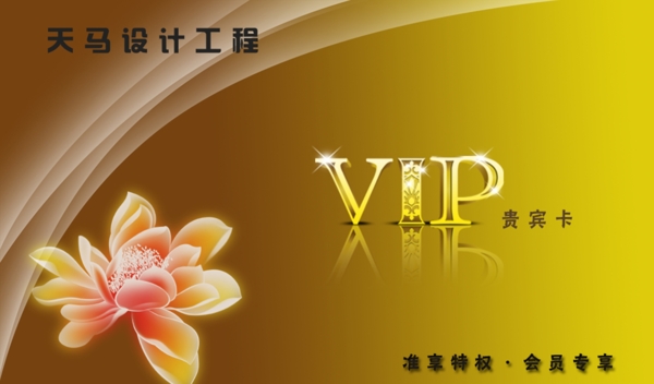 vip會(huì)員卡圖片