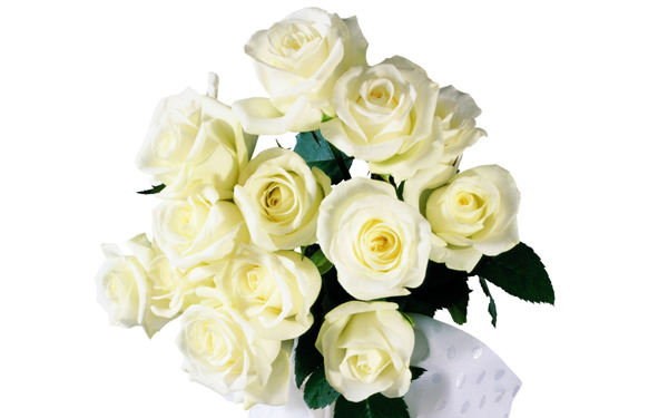 唯美白色玫瑰花束图片