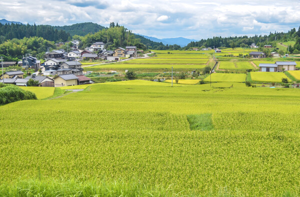 日本田園