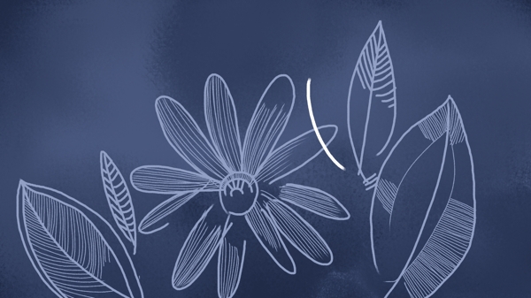 手绘花朵叶子蓝色卡通背景