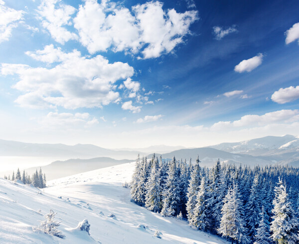 唯美山林雪景