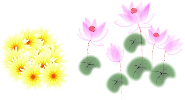 花荷花菊花素材