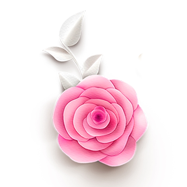 粉色花卉手绘png透明素材
