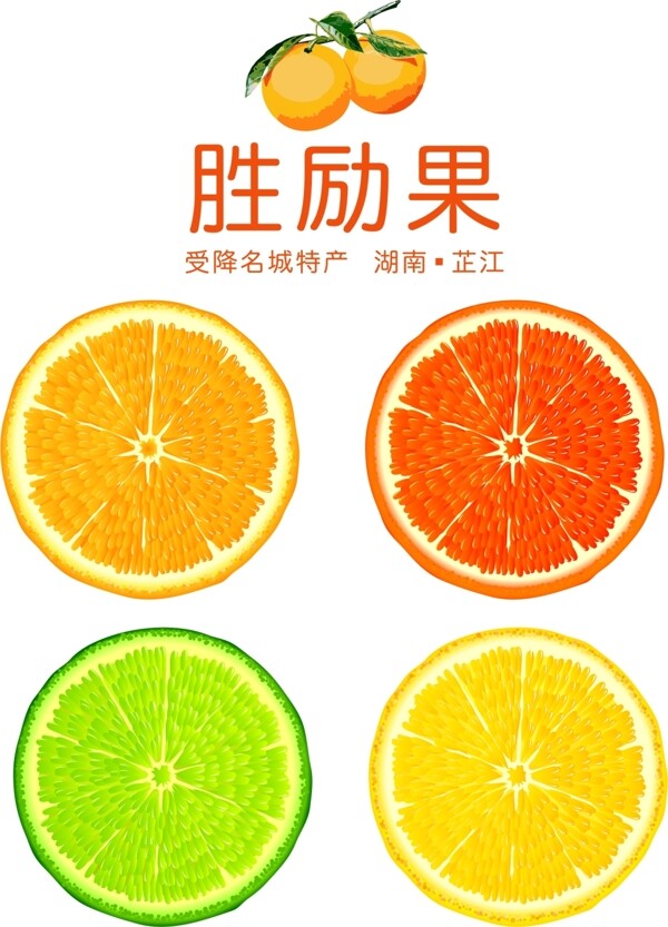 芷江胜励果冰糖橙柑橘切片效果图