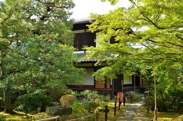 京都青莲院风景