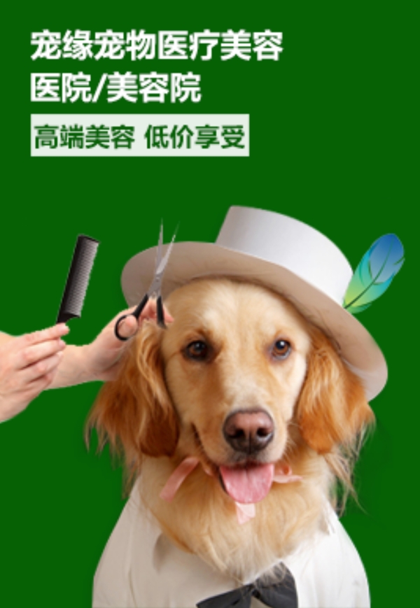 醫(yī)療美容