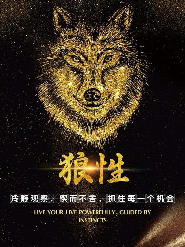 狼性團隊合作海報