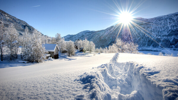 唯美雪景