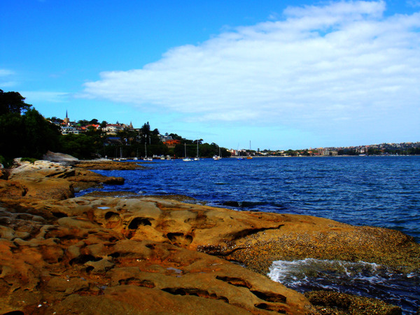 悉尼湾一景图片