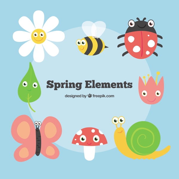 有趣的昆虫和花在春天的季节