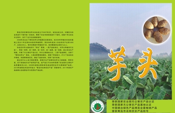 芋頭彩頁