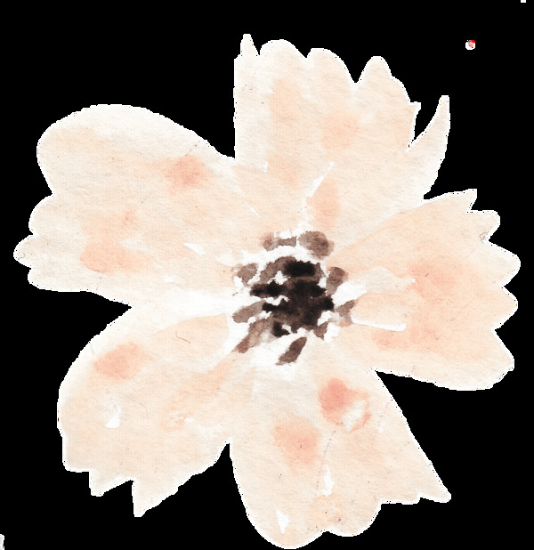 綻開肉花卡通透明素材