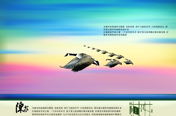 五彩天空鸟飞宣传海报