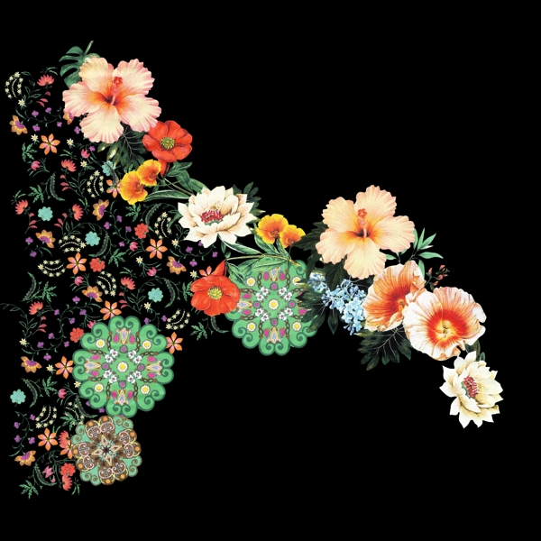 花朵腰花