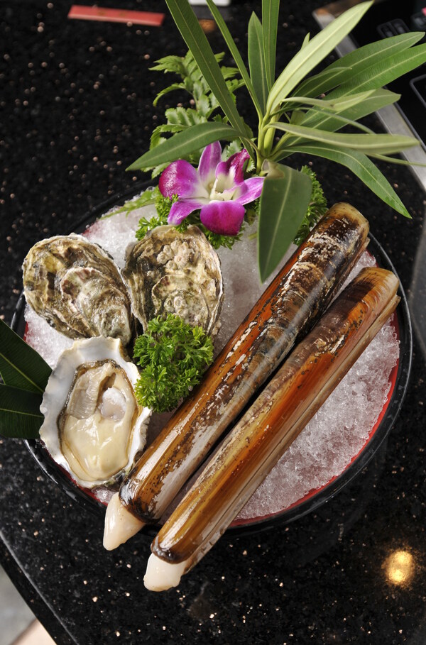 圣子王圖片