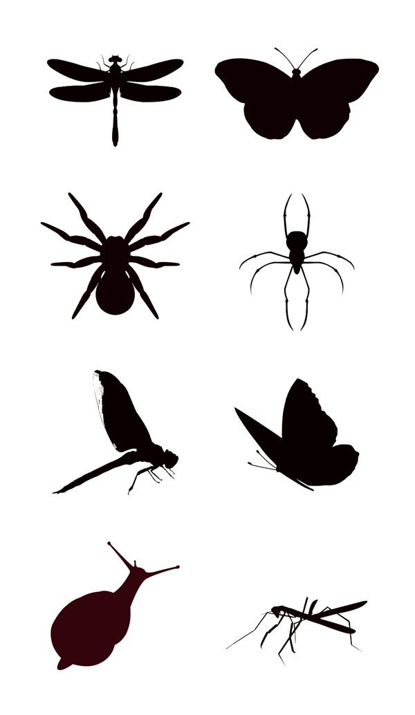 八种昆虫黑色剪影元素