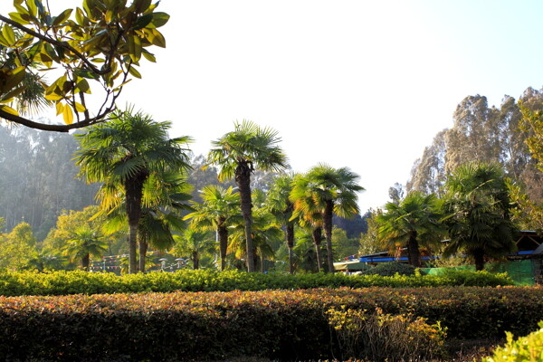曲靖河邊公園圖片