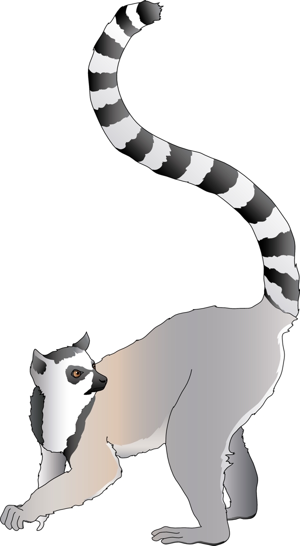 動物素材